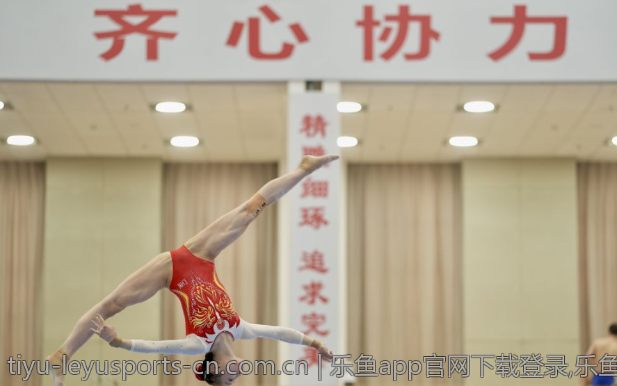 乐鱼app官网下载登录,乐鱼app如何与其他应用共存