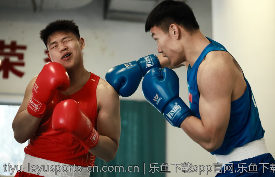 乐鱼下载app官网,乐鱼下载app官网新功能体验的实际反馈
